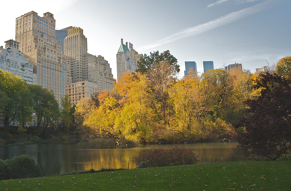 Central Park during autumn in New York City - somatic therapy