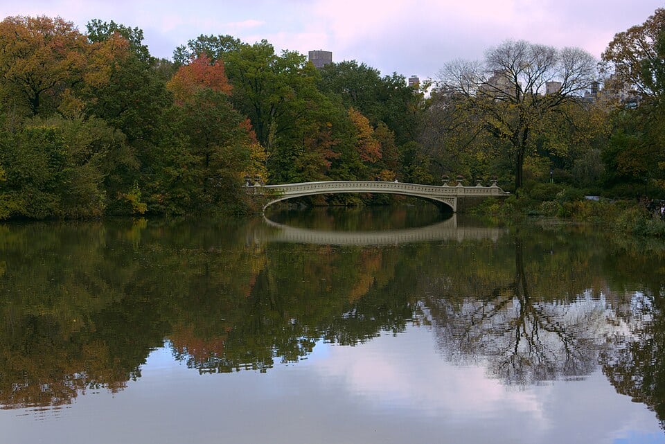 Bow Bridge in Central Park surrounded by autumn foliage - therapy for neurodivergent adults in NYC