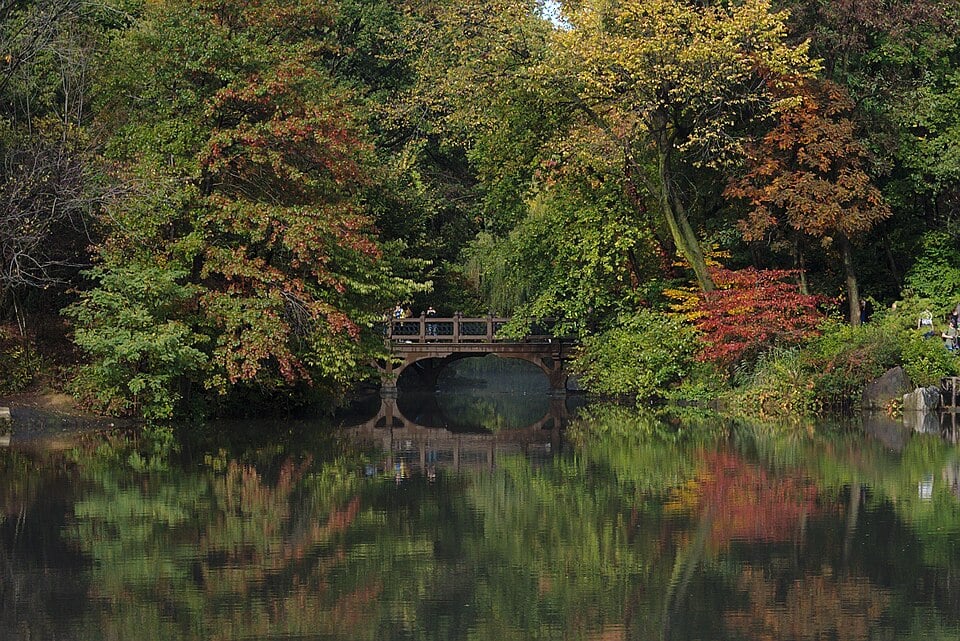 Cabinet Bridge in Central Park during fall - DID and parts work therapy
