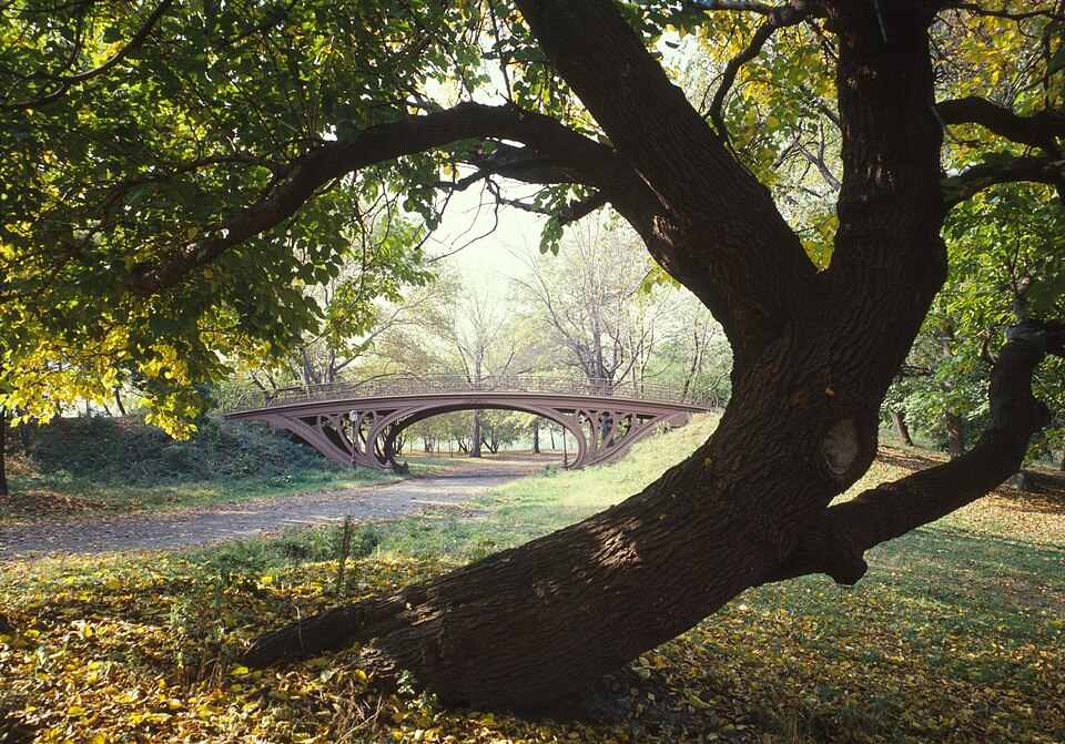 Central Park landscape in New York City - therapy for immigrants and second-generation Americans