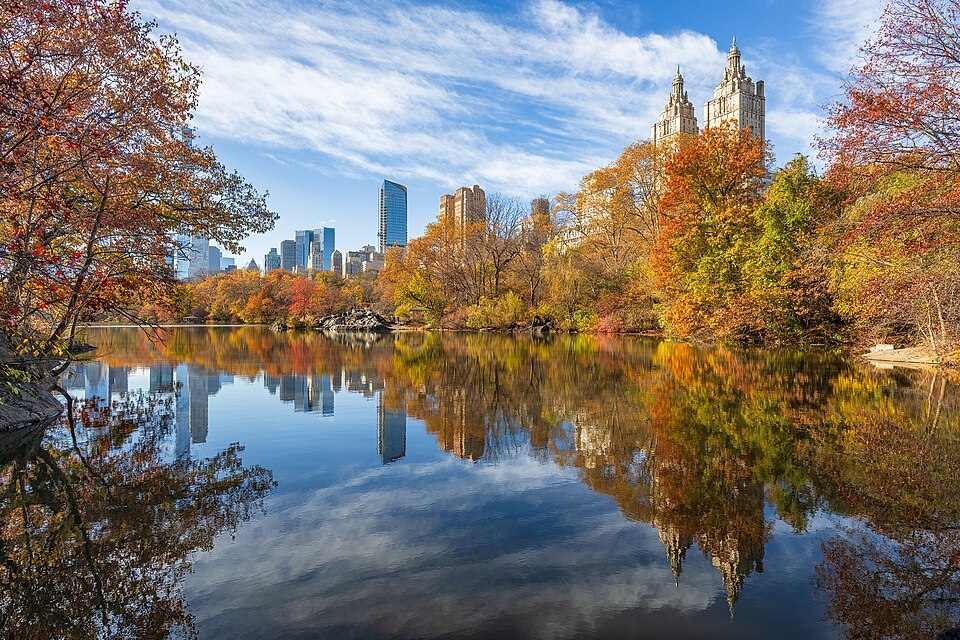 Central Park in November NYC - therapy for recent autism diagnosis