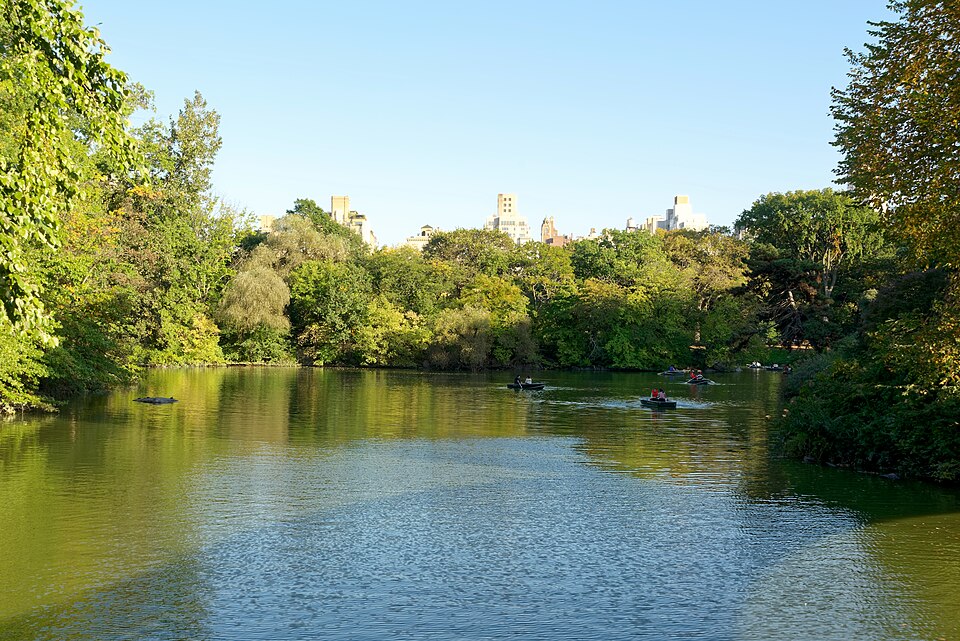 The Lake in Central Park New York City - trauma therapy