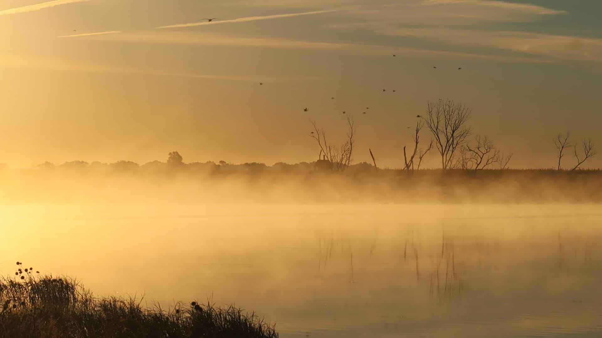 Mist rising from the still surface of a lake at sunrise, with bare trees and birds along the far shore